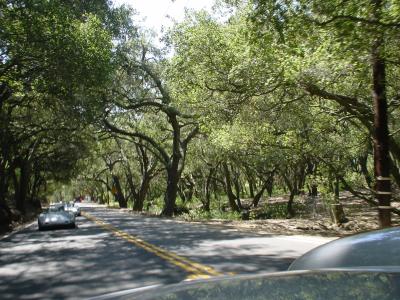 another great road