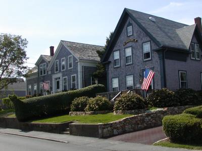 Whale of a shrub