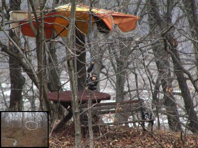Picnic Area