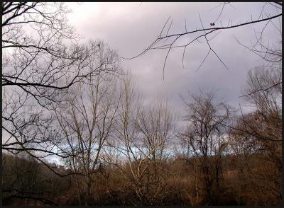 Storm in the North
