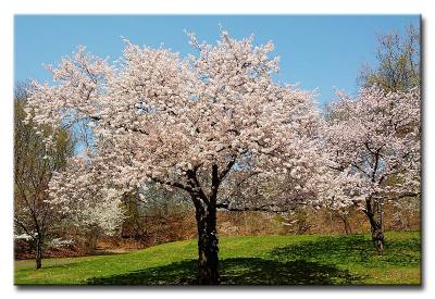 CRW_5401L
