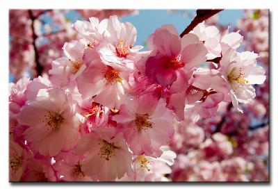 CRW_5405L