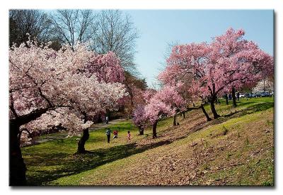 CRW_5438L