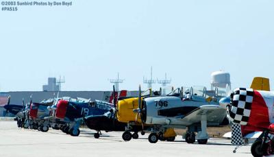 Lineup of Warbirds aviation warbird stock photo #4100