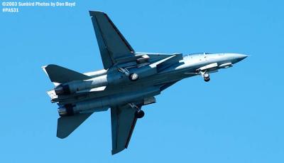 USN F-14 Tomcat from VF-101 Grim Reapers military aviation air show stock photo #4124