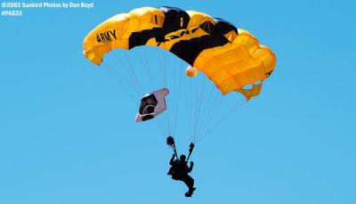 U. S. Army Golden Knight military aviation air show stock photo #4133