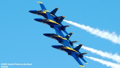 USN Blue Angels F/A-18 Hornets military aviation stock air show photo #4145