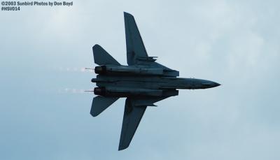 USN F-14 Tomcat from VF-101 Grim Reapers military aviation air show stock photo #3692