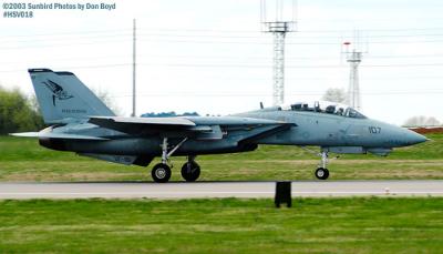 USN F-14 Tomcat from VF-101 Grim Reapers military aviation air show stock photo #3696