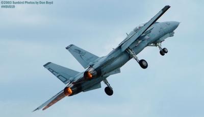 USN F-14 Tomcat from VF-101 Grim Reapers military aviation air show stock photo #3697