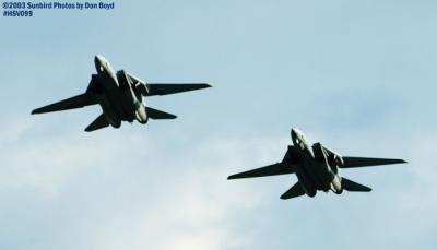 USN F-14 Tomcats military aviation air show stock photo #3804