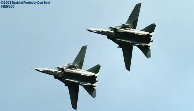 USN F-14 Tomcats military aviation air show stock photo #3805