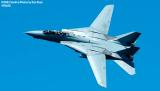 USN F-14 Tomcat from VF-101 Grim Reapers military aviation air show stock photo #4118