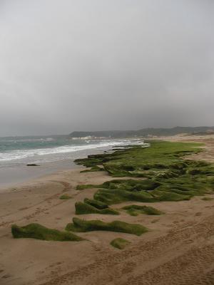 P4270051.jpg