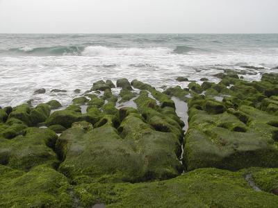 P4270083.jpg