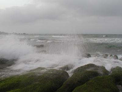 P4270096.jpg