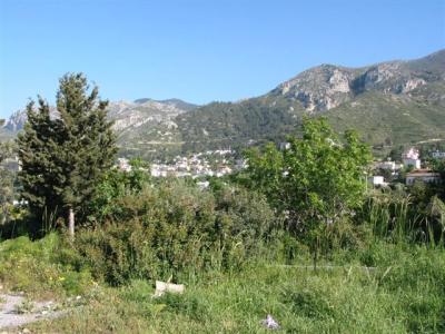 100-0069_IMG.JPG