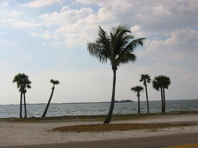 IMG_0090.JPG