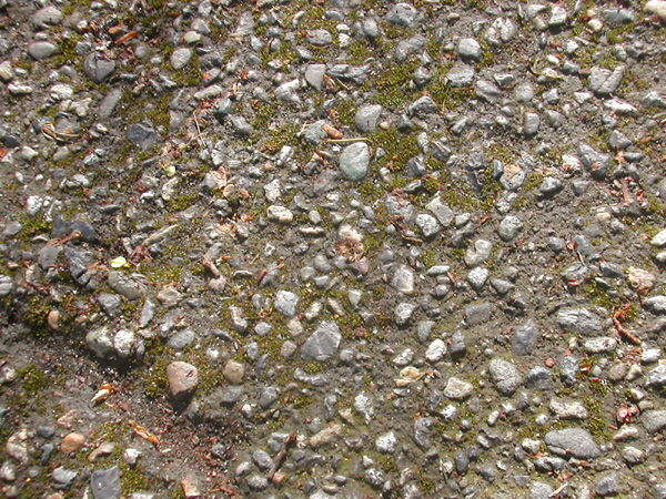 Lotsa little rocks
