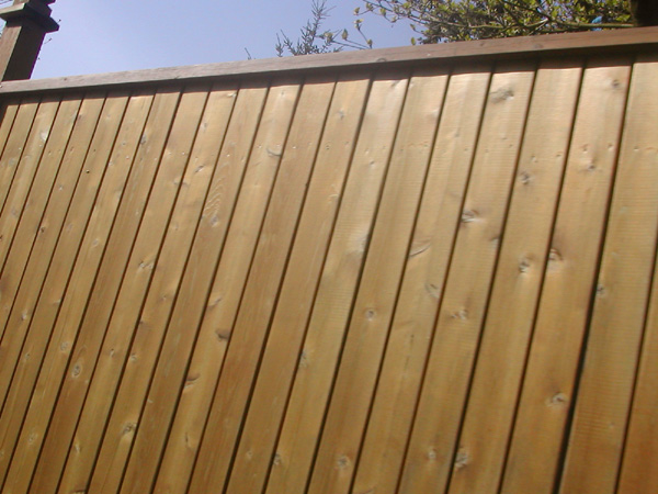 New fence