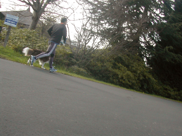 Doggie !!!