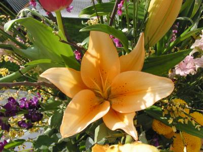 Bouquet Closeup #3.JPG