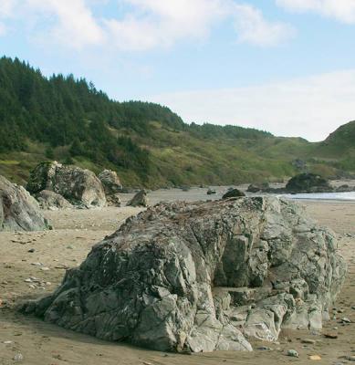 Southern Oregon Coast 3/03