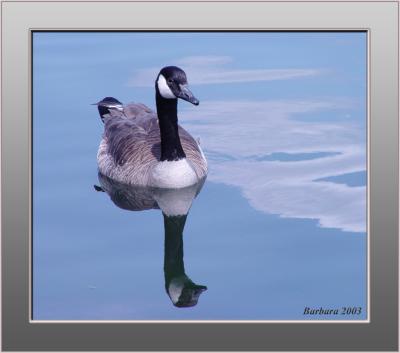 Perfect mirror image copy.jpg