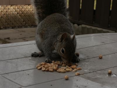 Heh...those are my nuts !!!