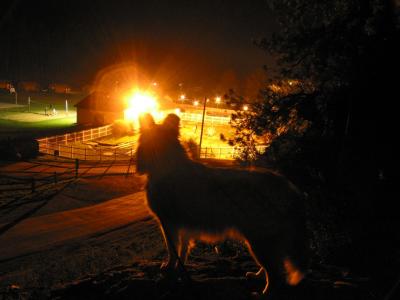 Skip at camp