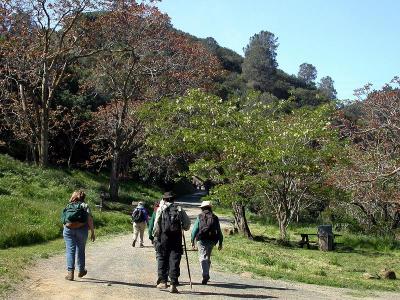 Beginning of our hike