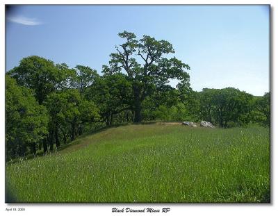 Black Diamond Mine Trail