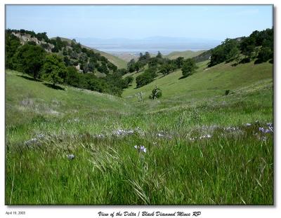 View toward the delta