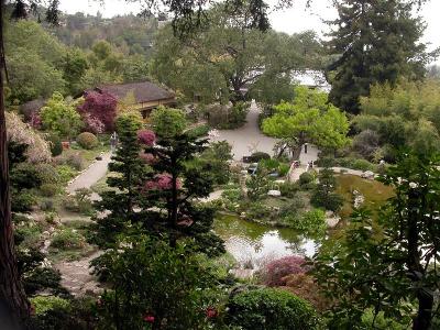 Overlooking the Pond and garden