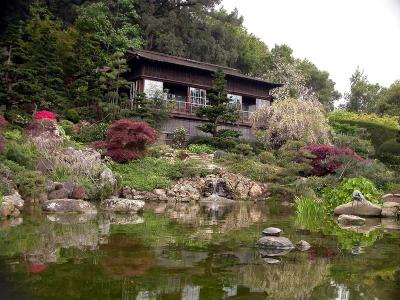 House above the pond