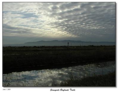 Sunnyvale Baylands