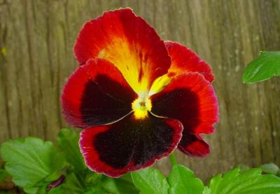 u27/canau/medium/15772893.web_dsc02648.jpg