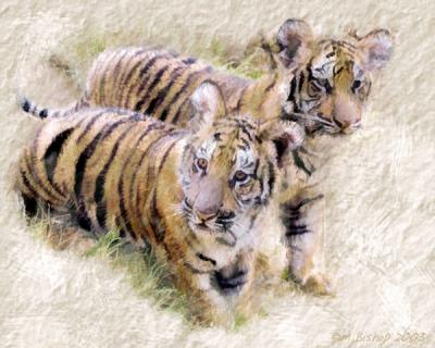 Tigers-Painted and embossed