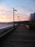 Boardwalk ~ Sydney