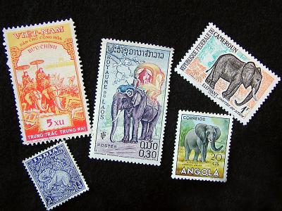 elephants.jpg