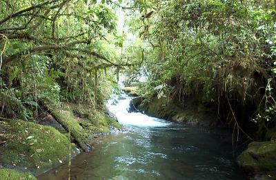 Downstream from waterfall