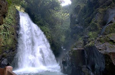 La Paz Waterfall Garden