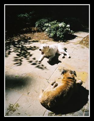 Loo and Murf Lomoing