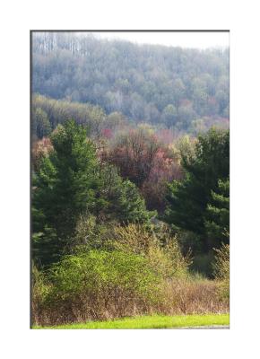 Spring at Moraine is quite an anventure!