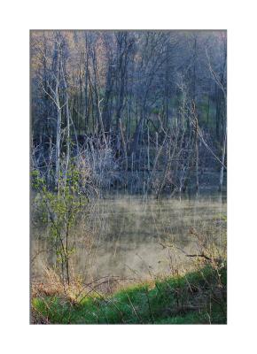 Early Morning on the pond...