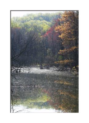 ....colors are reflected in the smooth surface