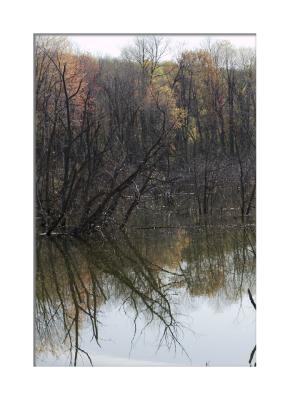 Spring pond