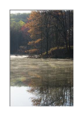 Early morning mist