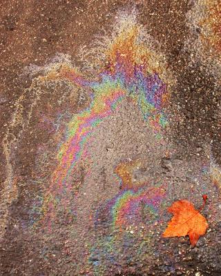 Oil on Pavement