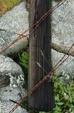 Downed Fence Post and Barbed Wire